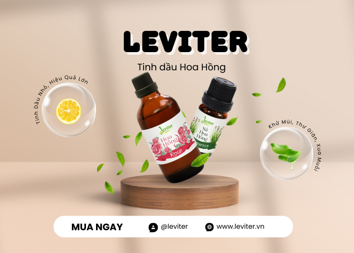 Leviter Rose Essential Oil – Một Giọt Lãng Mạn, Một Khoảnh Khắc Bình An Leviter Rose Essential Oil – Một Giọt Lãng Mạn, Một Khoảnh Khắc Bình An