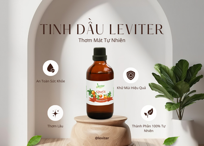 Tinh Dầu Quýt Leviter 100ml – Hương Tươi Mát, Bình Yên Cho Ngày Dài Tinh Dầu Quýt Leviter 100ml – Hương Tươi Mát, Bình Yên Cho Ngày Dài