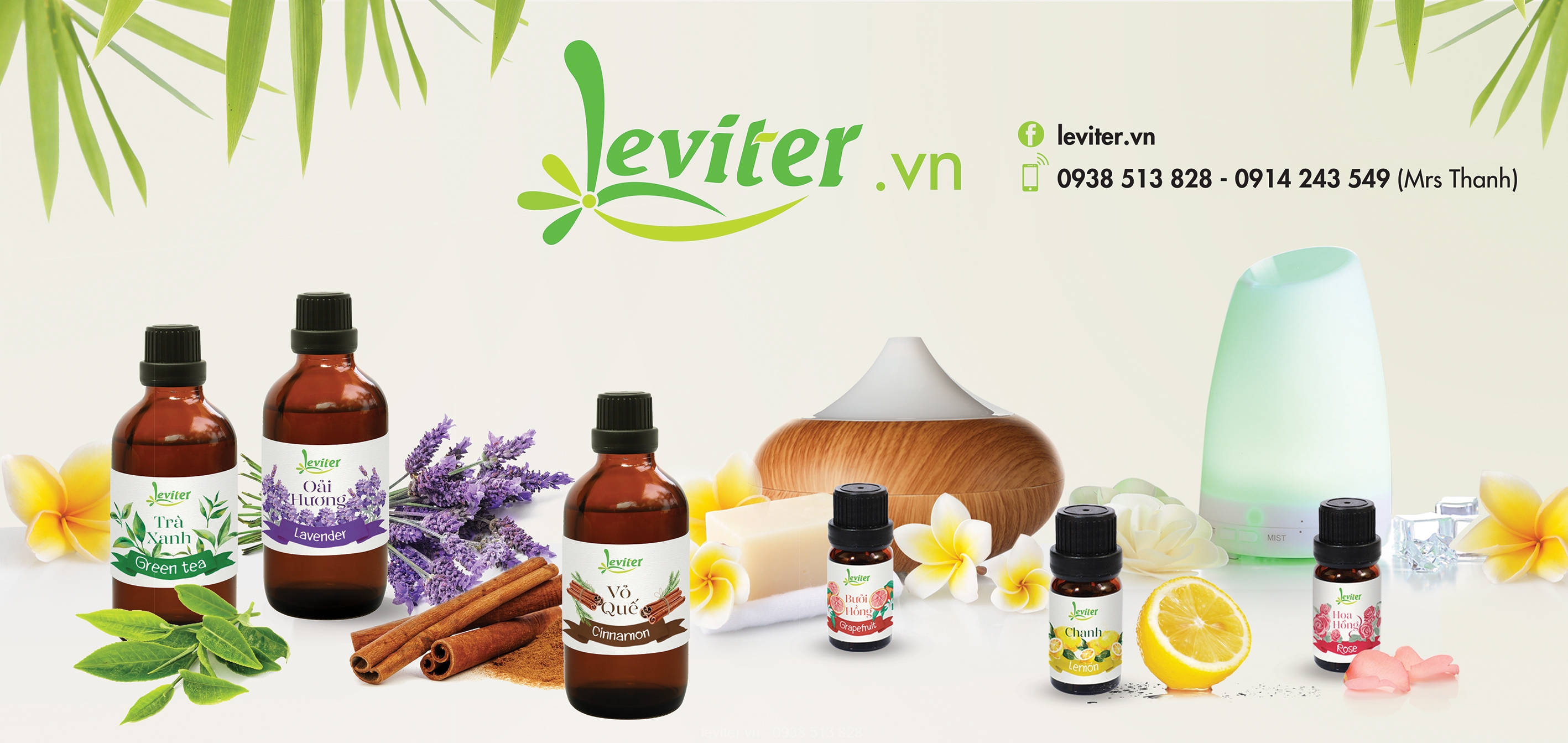 leviter_banner