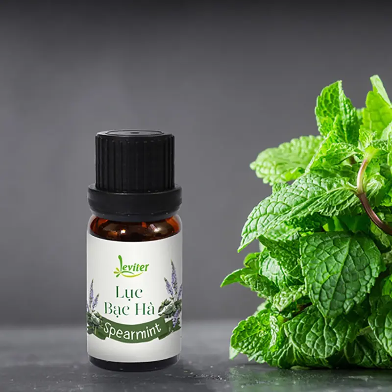 Tinh dầu Lục Bạc Hà Leviter - Tinh dầu Bạc Hà Nguyên Chất, Giảm Đau Đầu