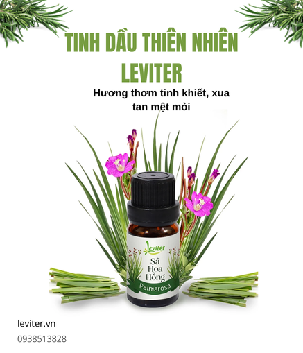Tinh Dầu Tự Nhiên Leviter