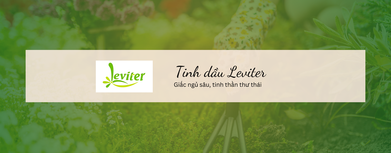 Tinh Dầu Thiên Nhiên Leviter