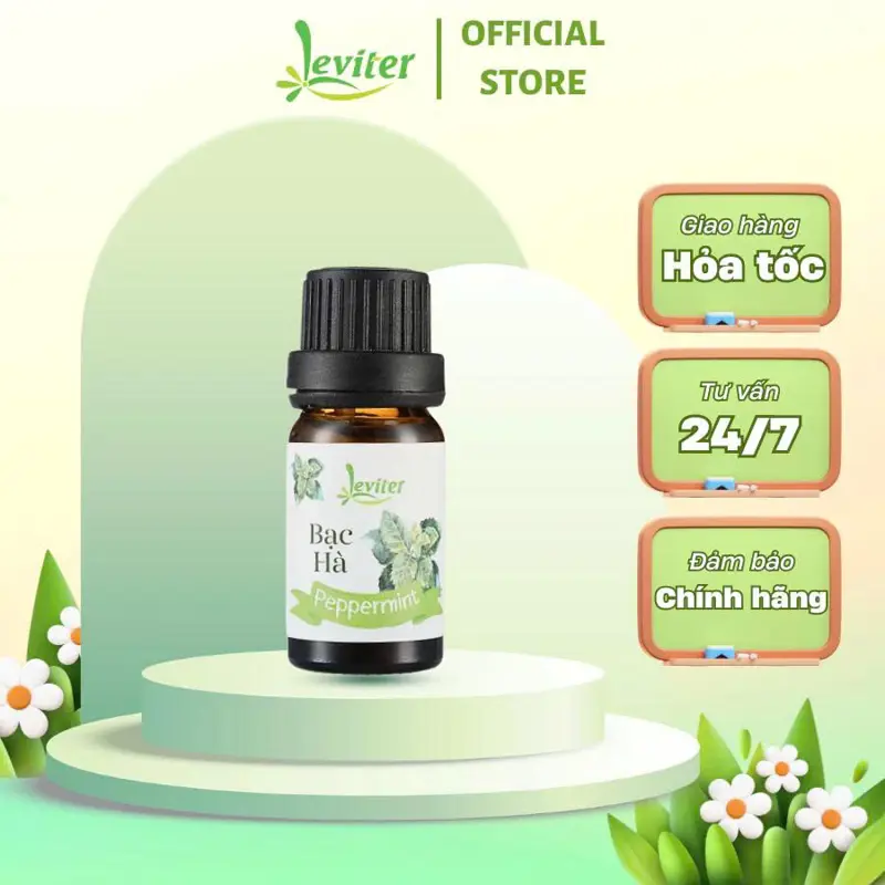 Tinh dầu Bạc Hà Leviter 10ml - Thư giản, giảm stress, đuổi chuột, đuổi muỗi, khử mùi