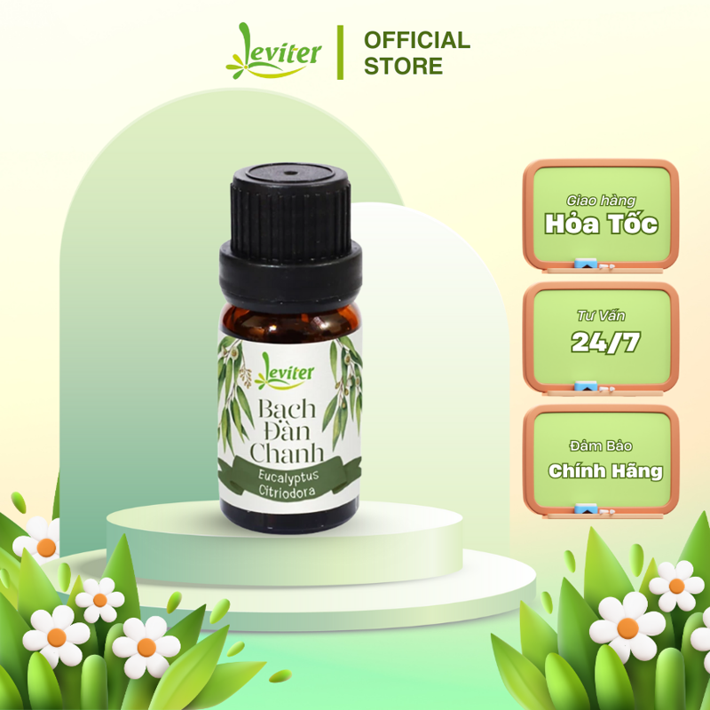 Tinh dầu Bạch Đàn Chanh 10ml xông hương giúp làm sạch không khí