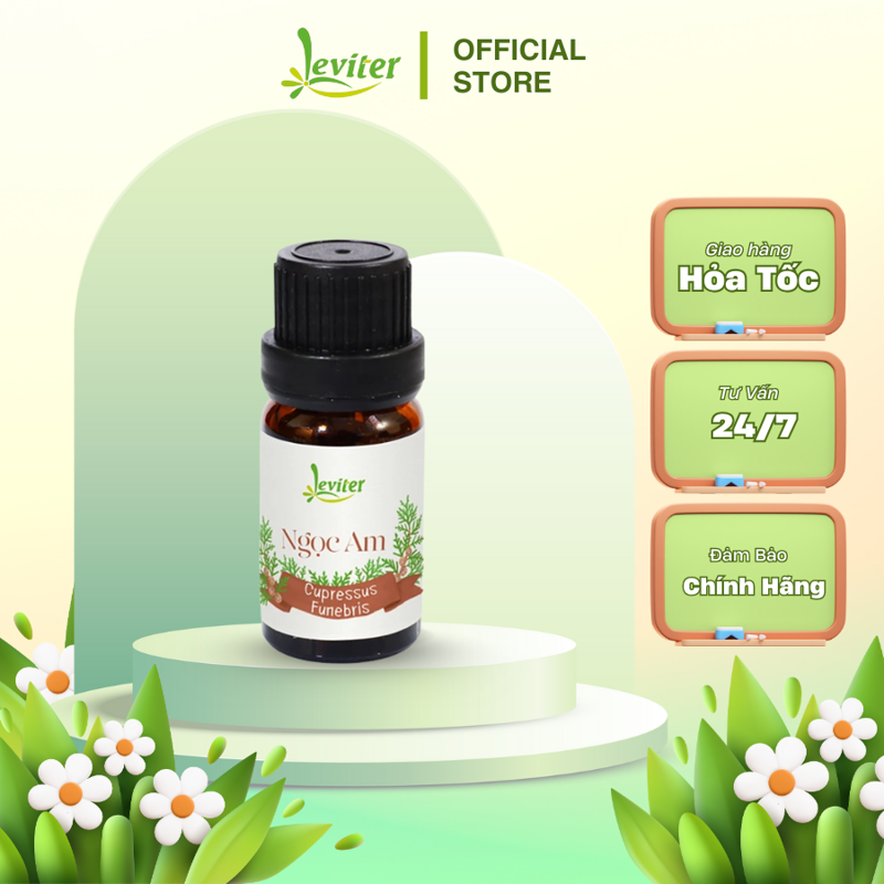 Tinh Dầu Ngọc Am 10ml - 100ml kháng khuẩn, trấn an tinh thần