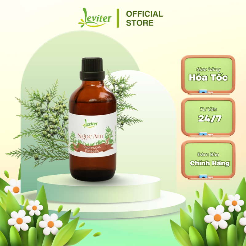 Tinh Dầu Ngọc Am Leviter kháng khuẩn, trấn an tinh thần
